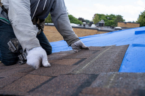 Best Local Roofing Companies  in New Vienna, OH